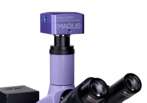 fotója MAGUS Lum D400L fluoreszcens digitális mikroszkóp,  21