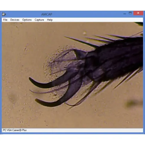 fényképe Omegon MonoView MicroStar 1280x LED mikroszkóp,  4