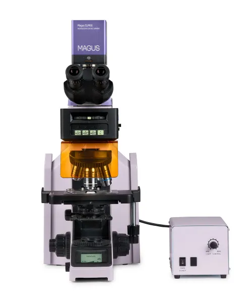 fotója MAGUS Lum D470L fluoreszcens digitális mikroszkóp,  9