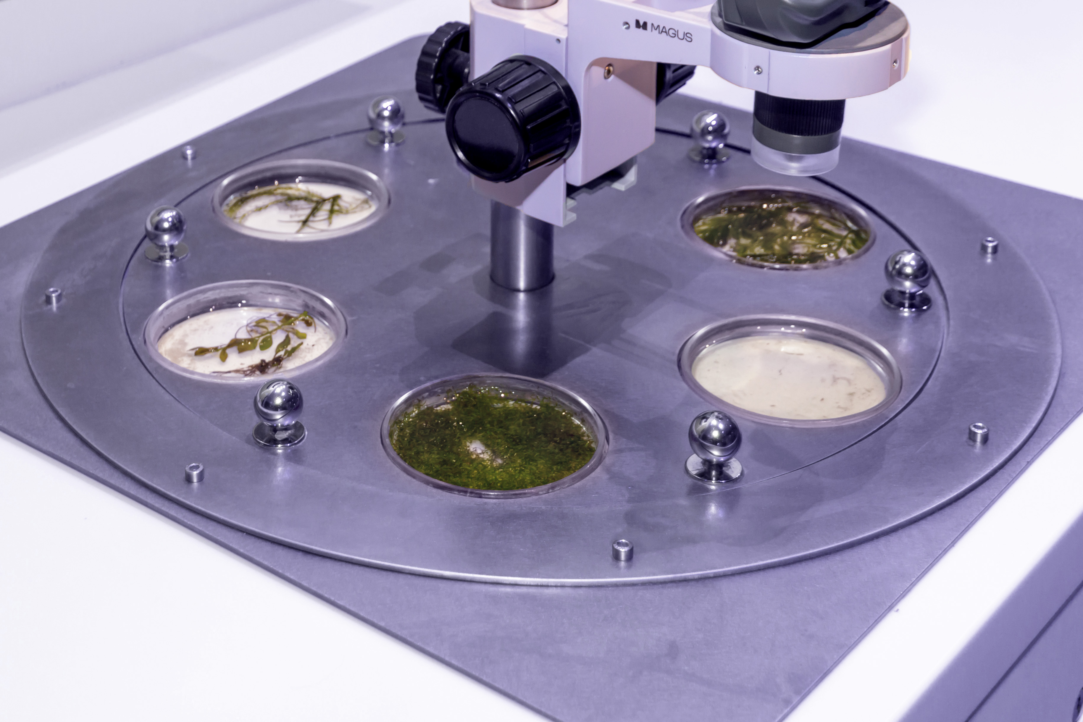 museum_world_ocean_04.jpg museum_world_ocean_04.jpg